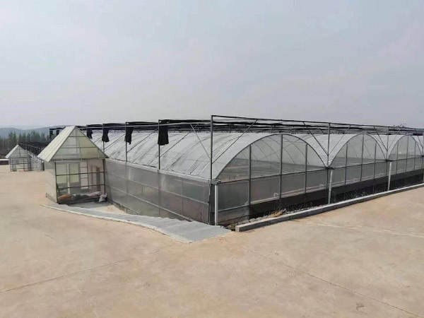 邹东蔬菜基地