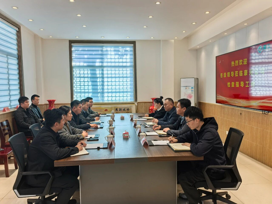杨峰一行到康元公司开展指导调研