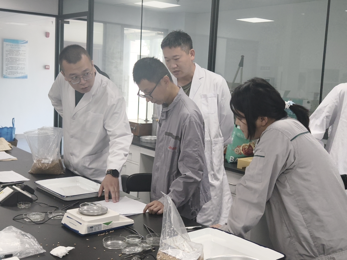 严把质检关口 护航夏粮收购